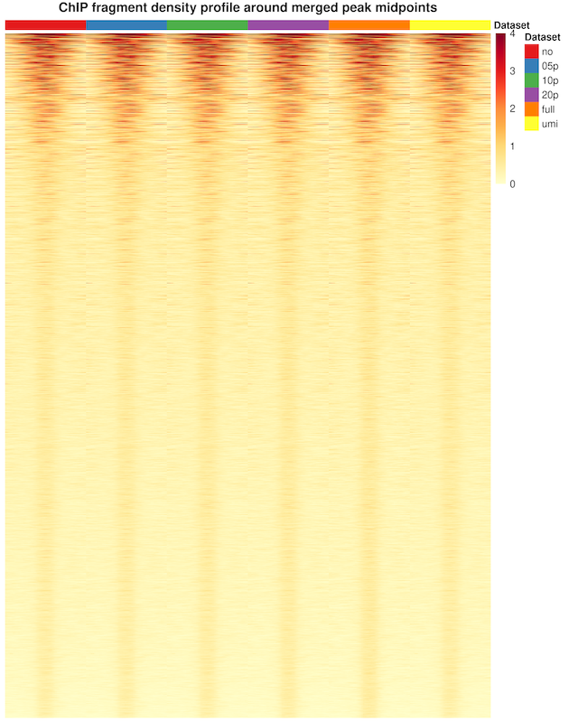 RNAPol2_profile_fragment